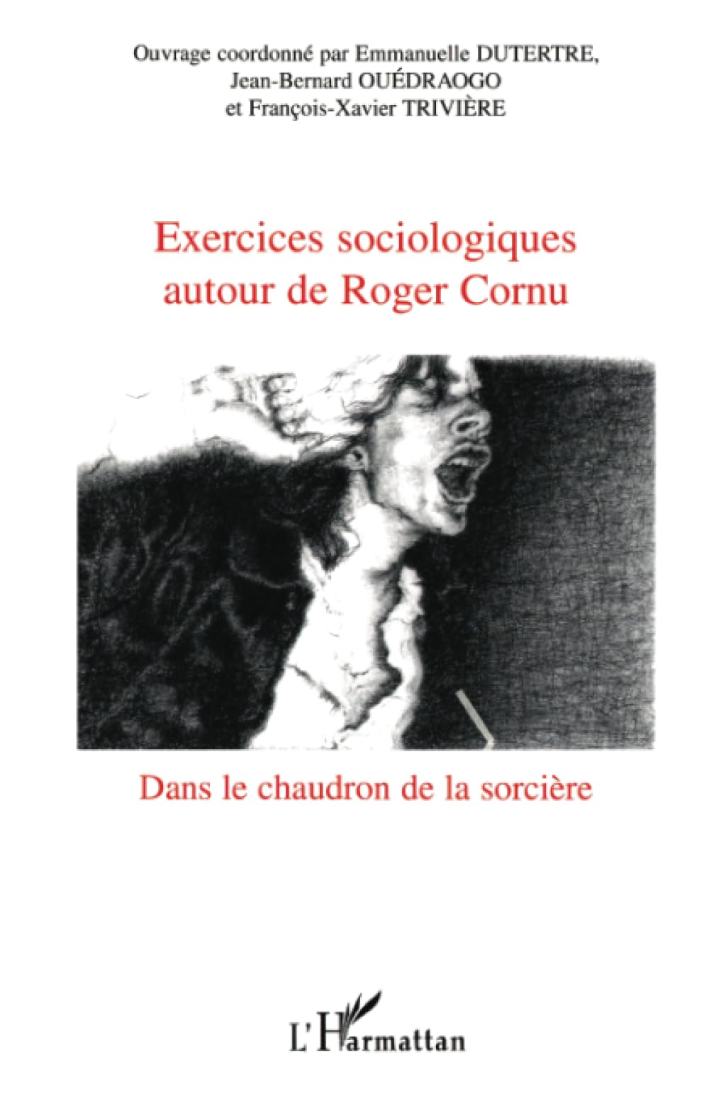 Exercices sociologiques autour de Roger Cornu: Dans le chaudron de la sorcière book