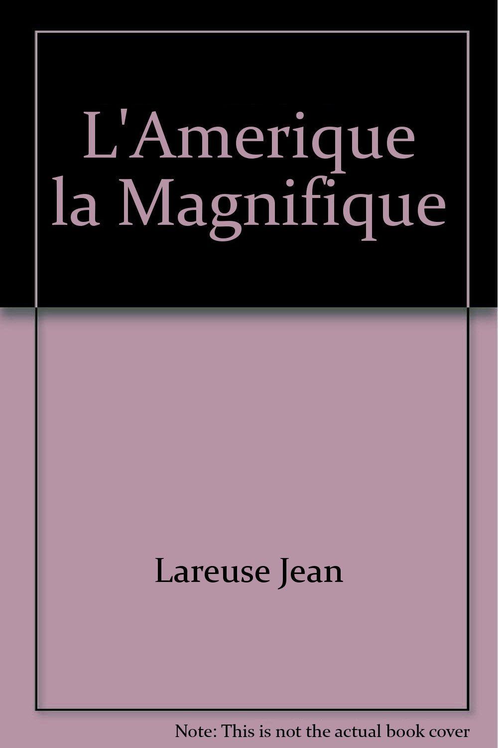 L'Amérique la magnifique book