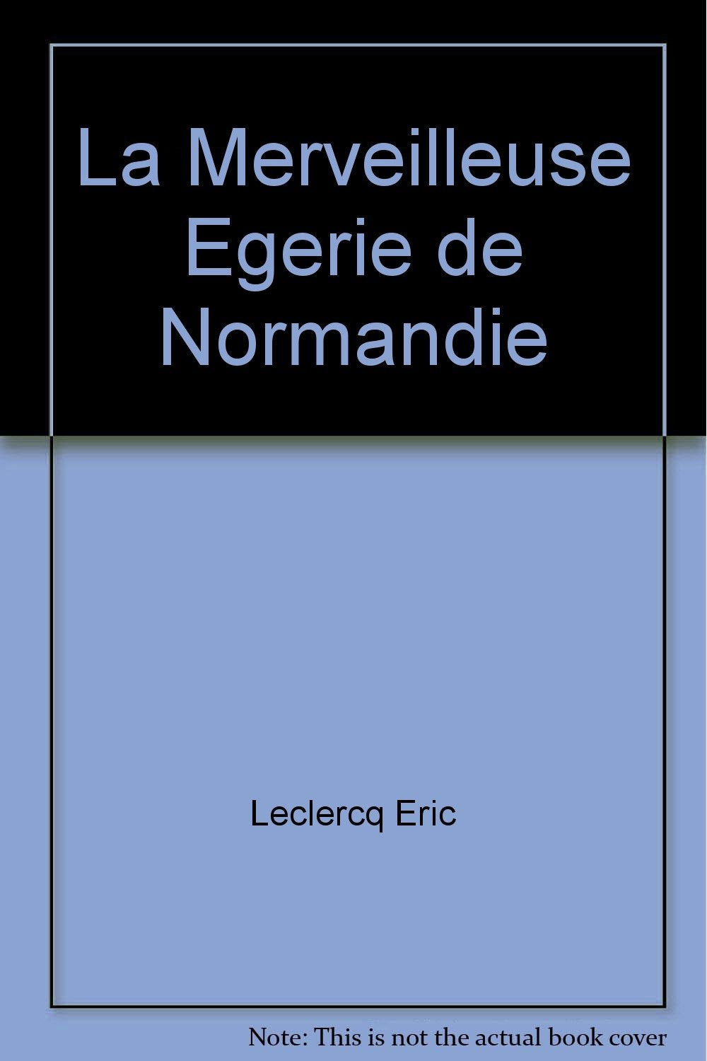 La merveilleuse égérie de Normandie - roman philosophique... book
