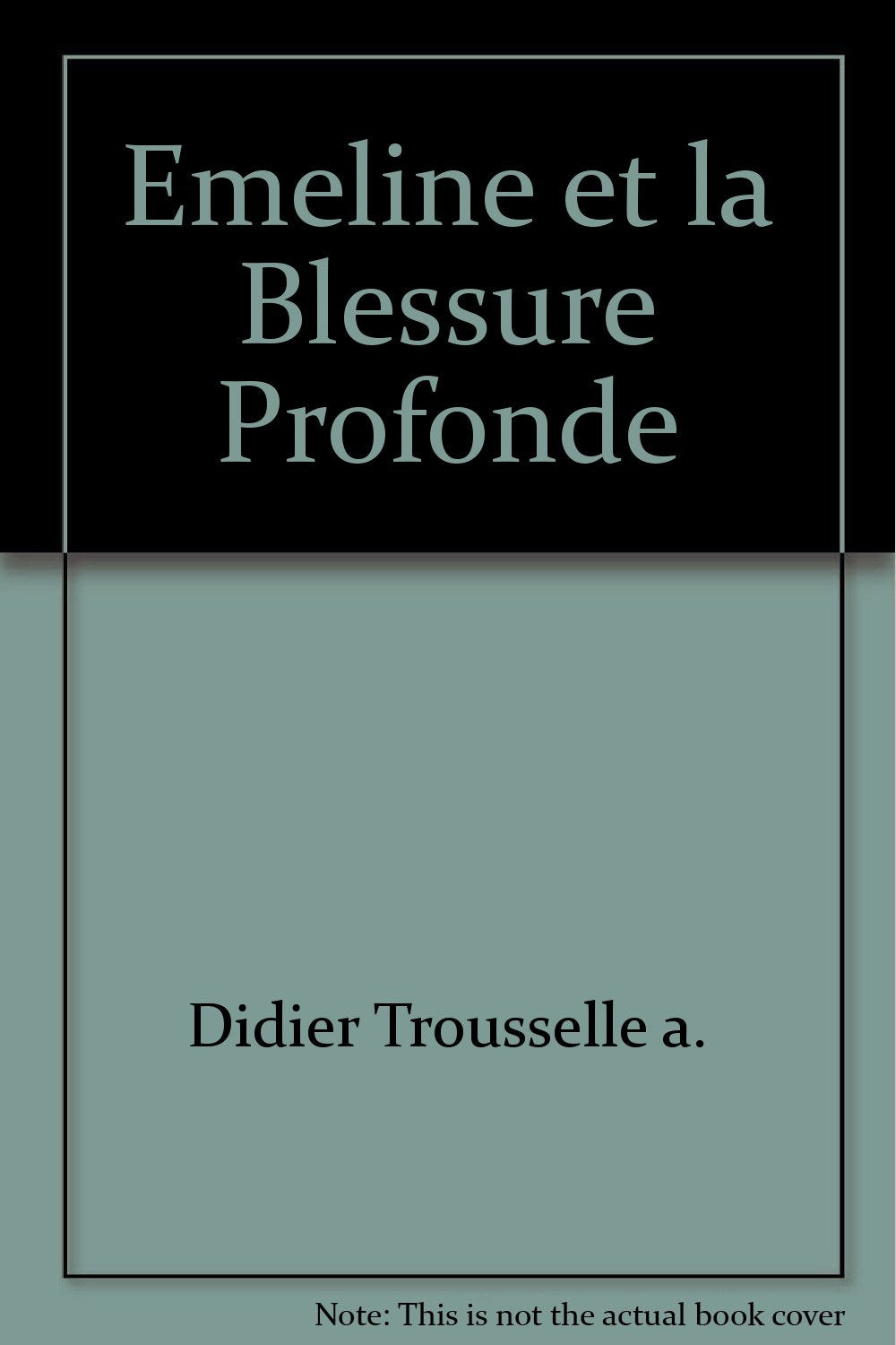 Émeline et la blessure profonde - roman Books