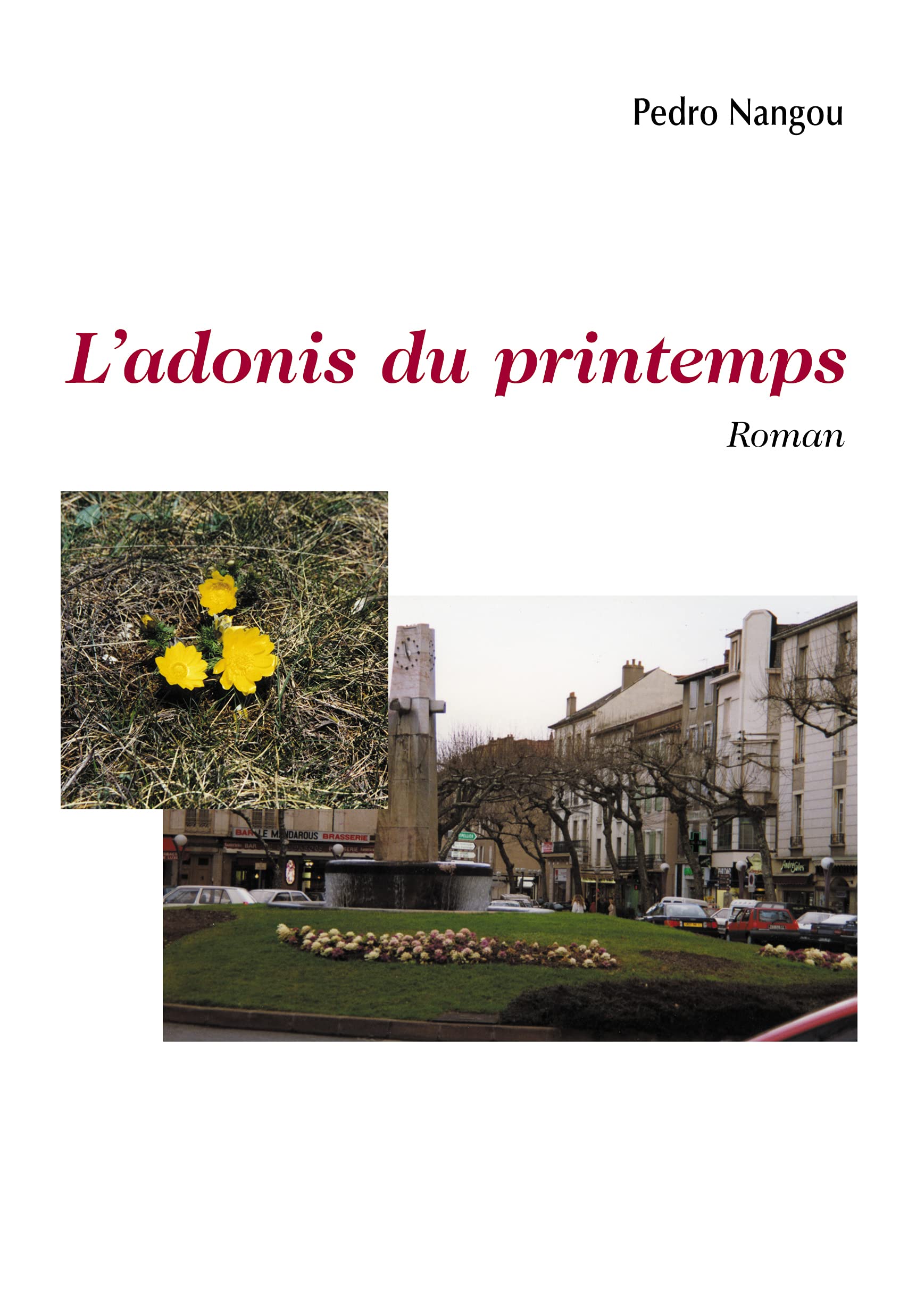 Product Image: L'adonis du printemps