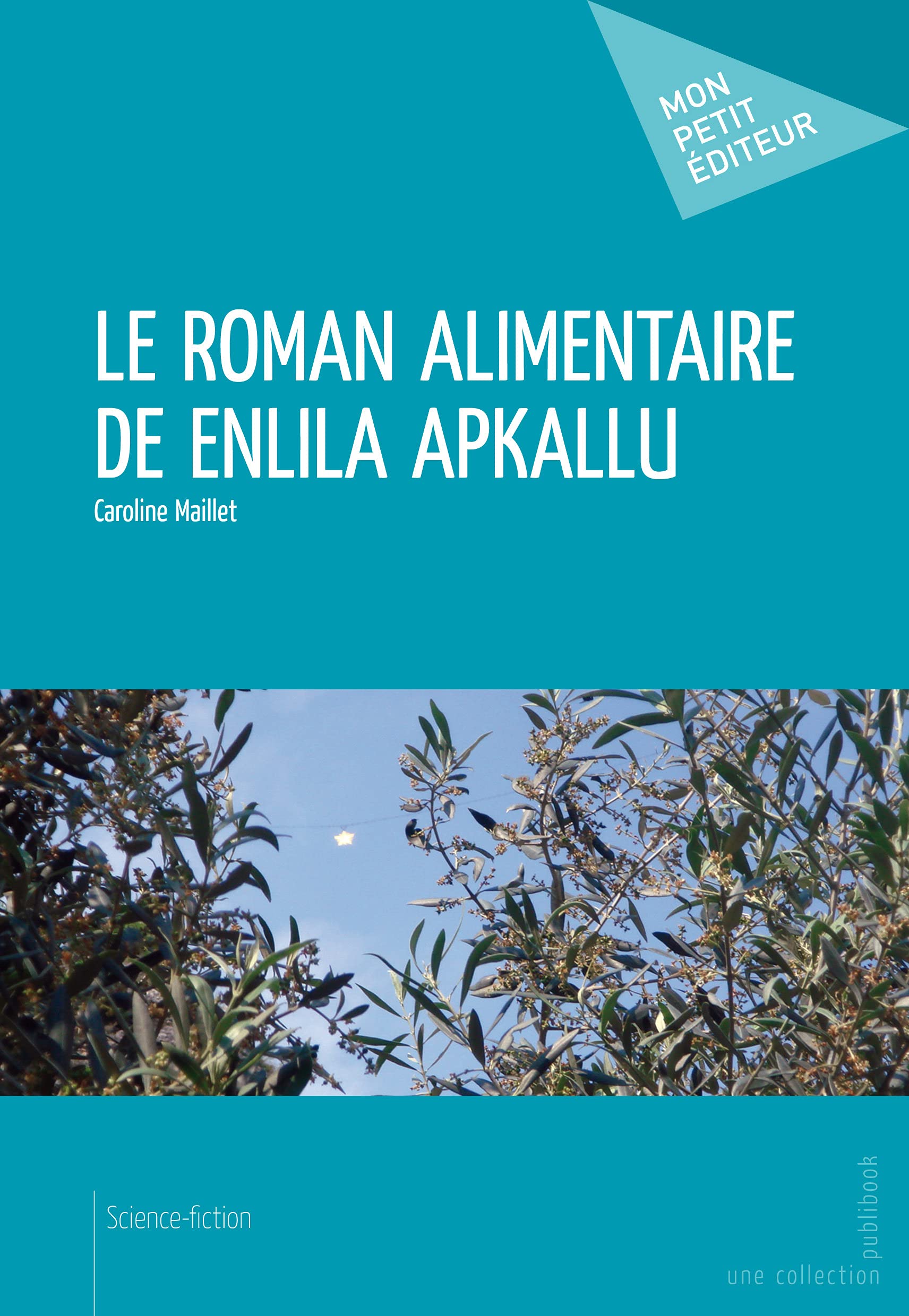 Le roman alimentaire de Enlila Apkallu book