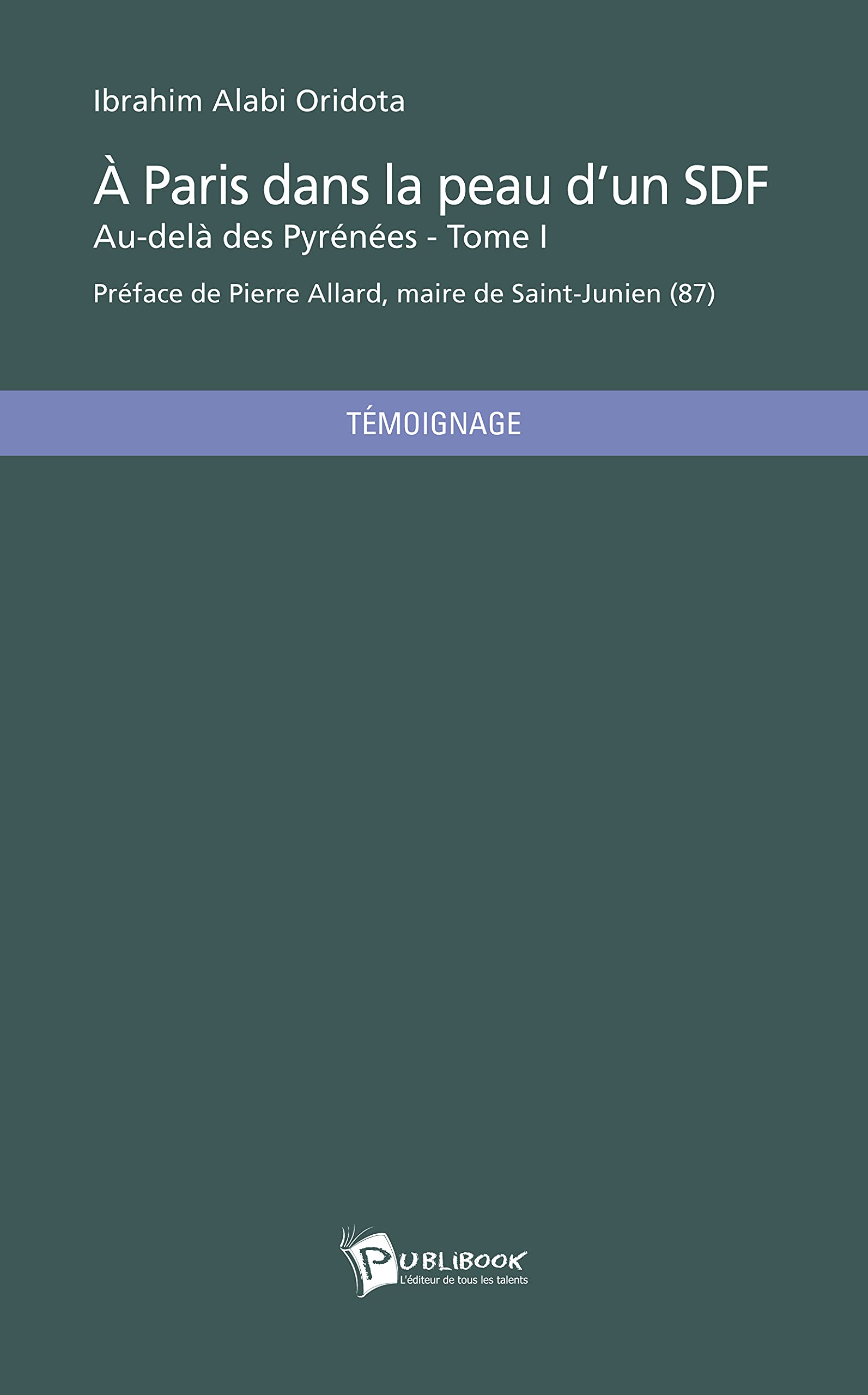 A Paris dans la peau d'un SDF book
