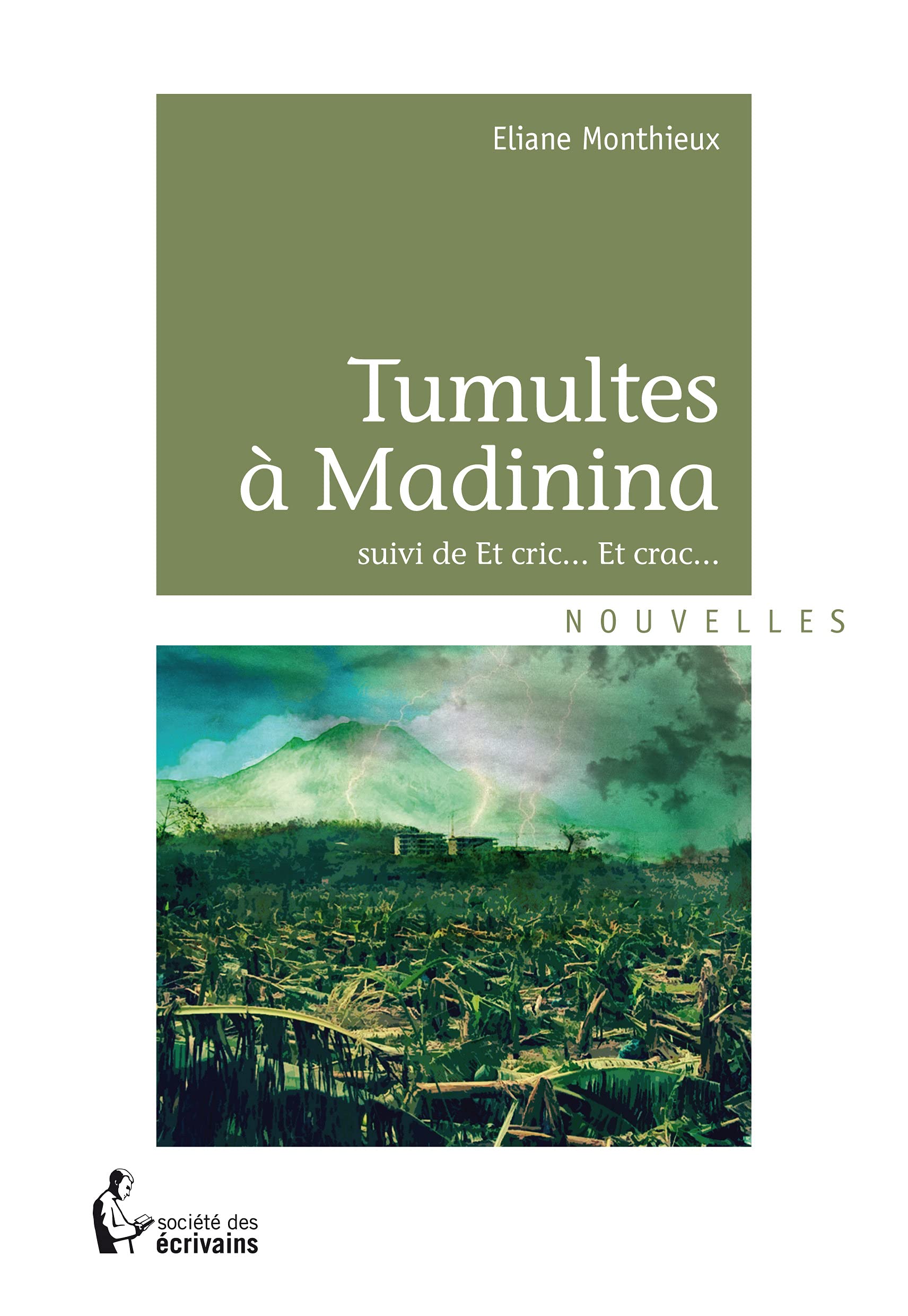 Tumulte à Madinina book