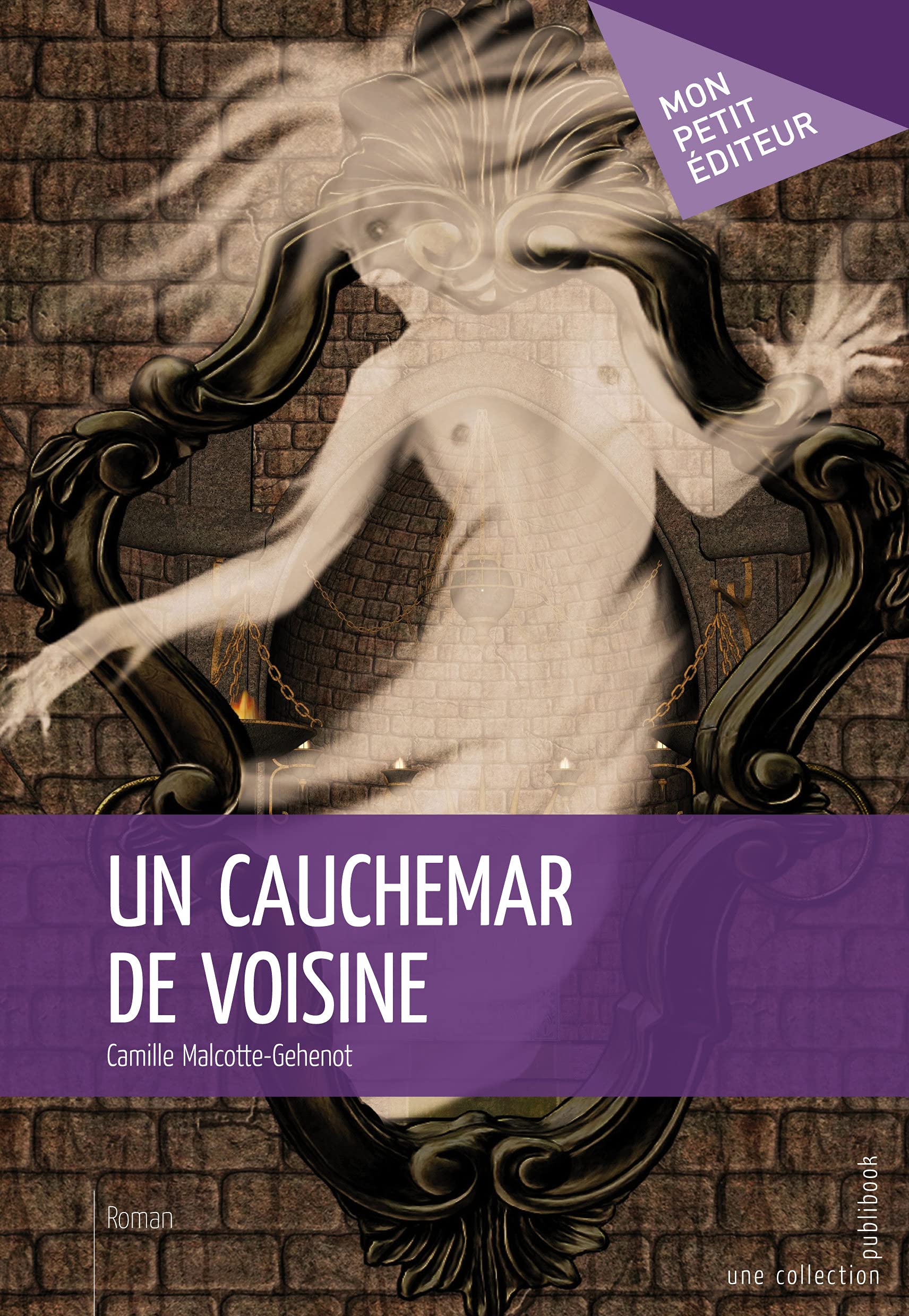 Un cauchemar de voisine book