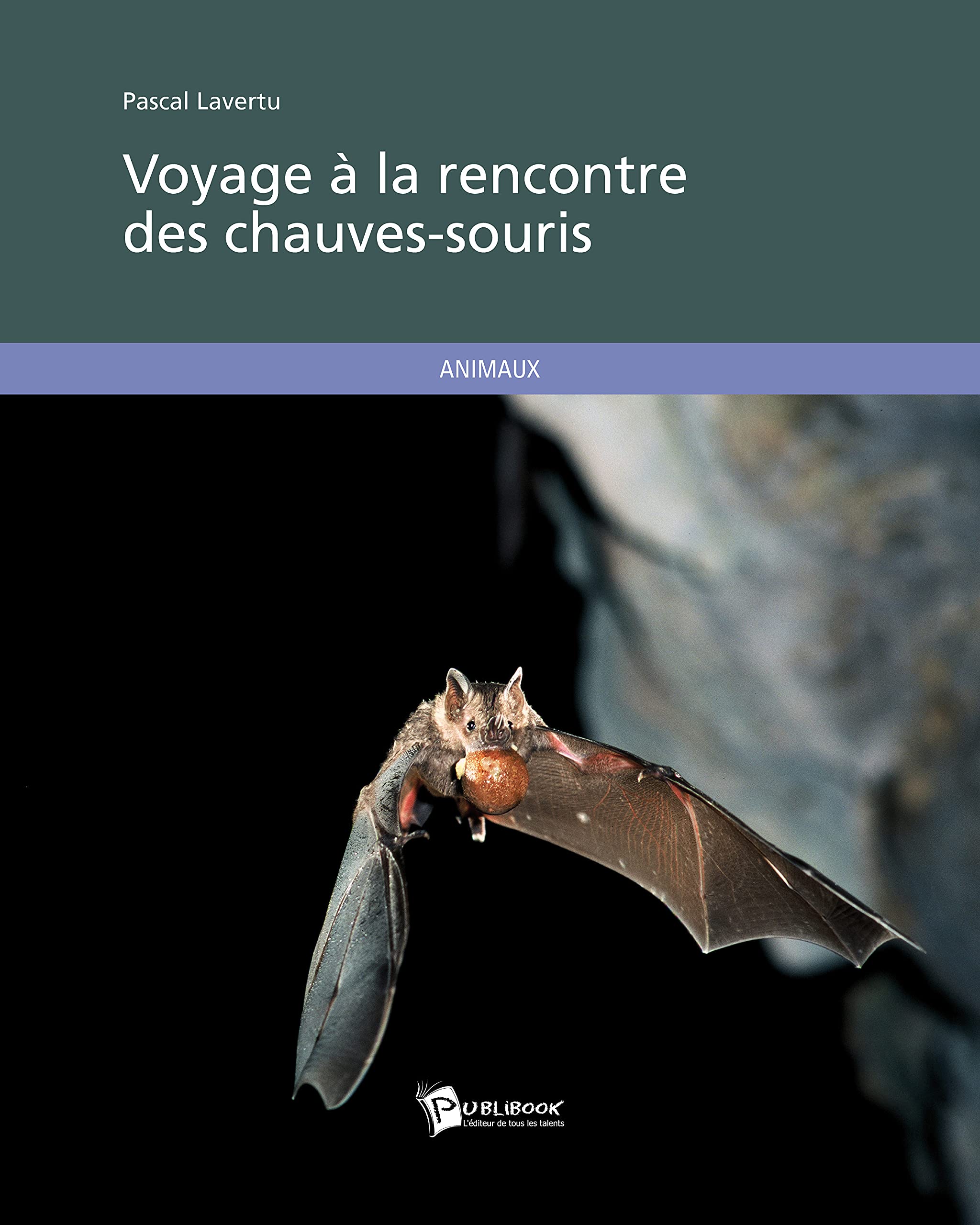 Voyage à la rencontre des chauves-souris book