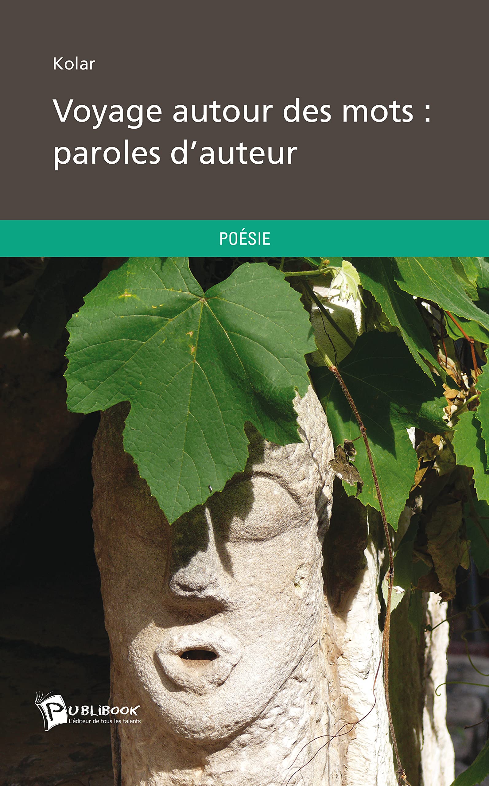 Voyage autour des mots : paroles d'auteur book