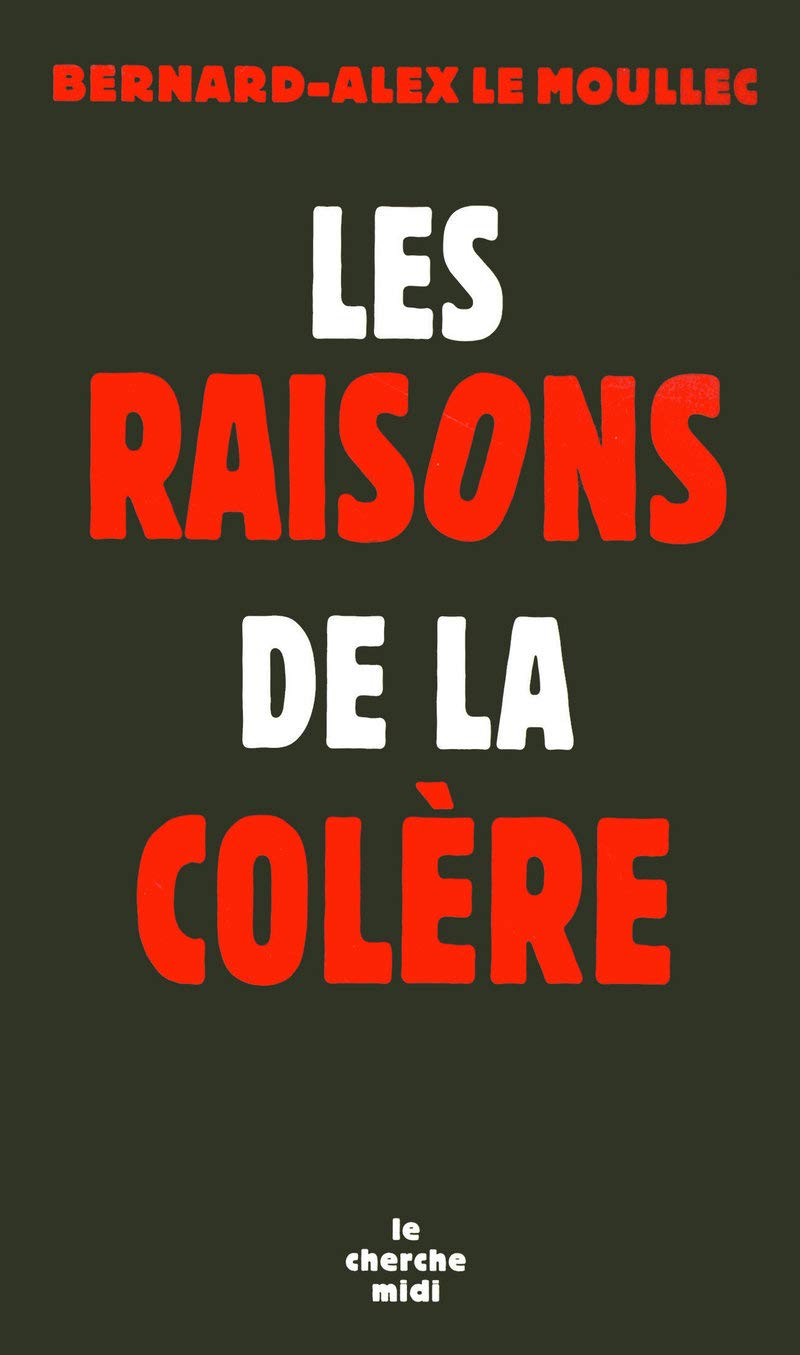 Les raisons de la colère pour une politique globale de la jeunesse Books