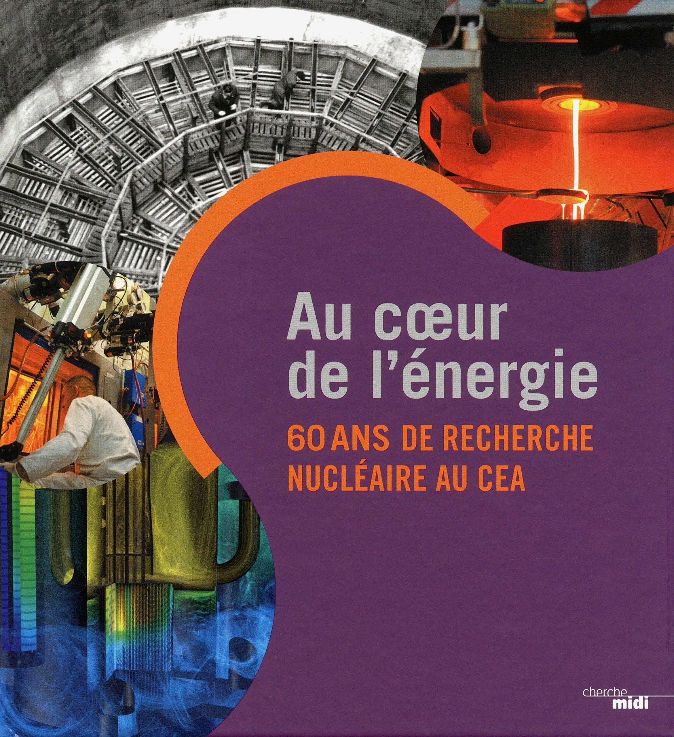 AU COEUR DE L'ENERGIE book