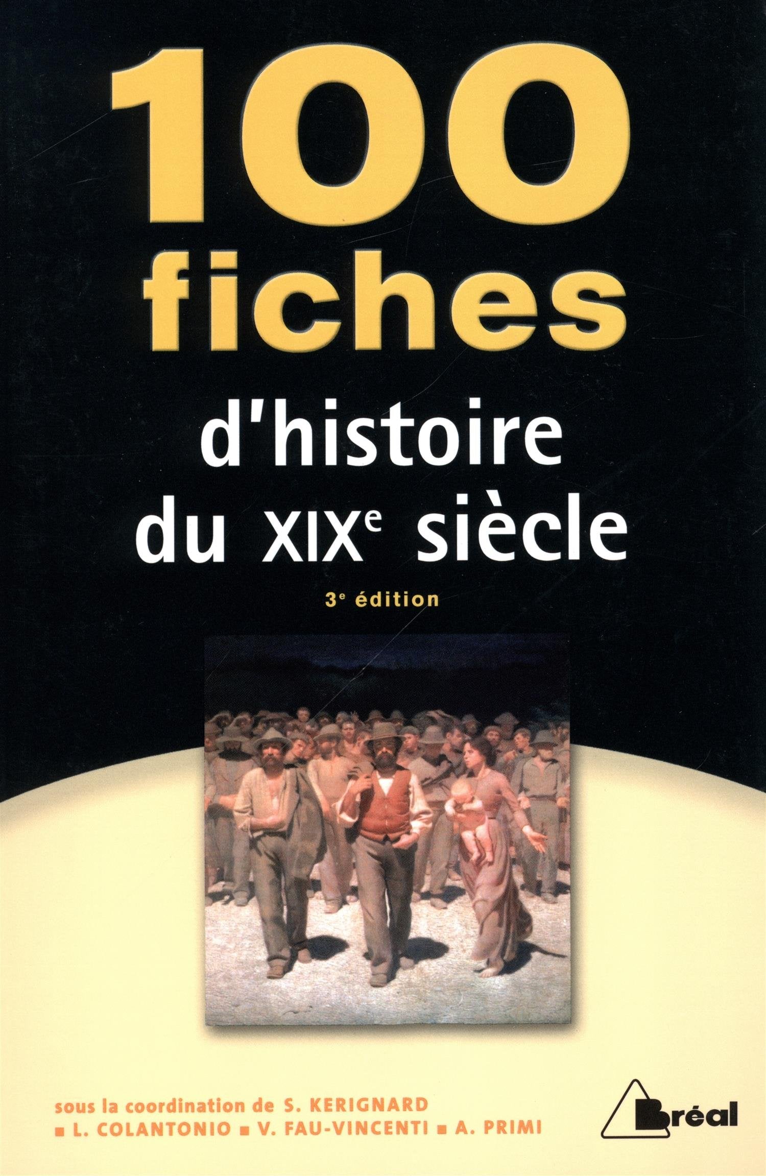 100 fiches de l'histoire du 19ème siècle book