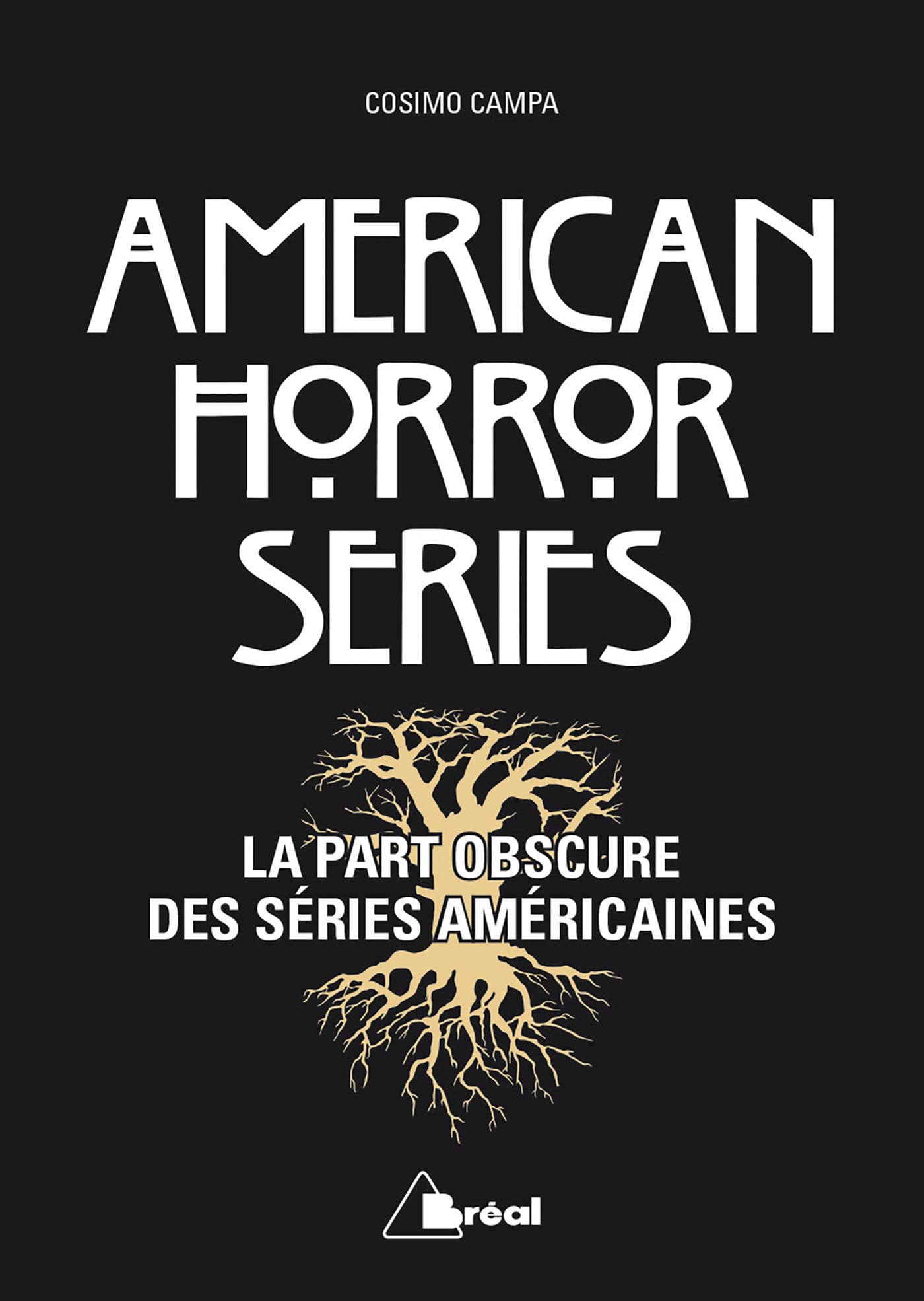 American horror séries: La part obscure des séries américaines book
