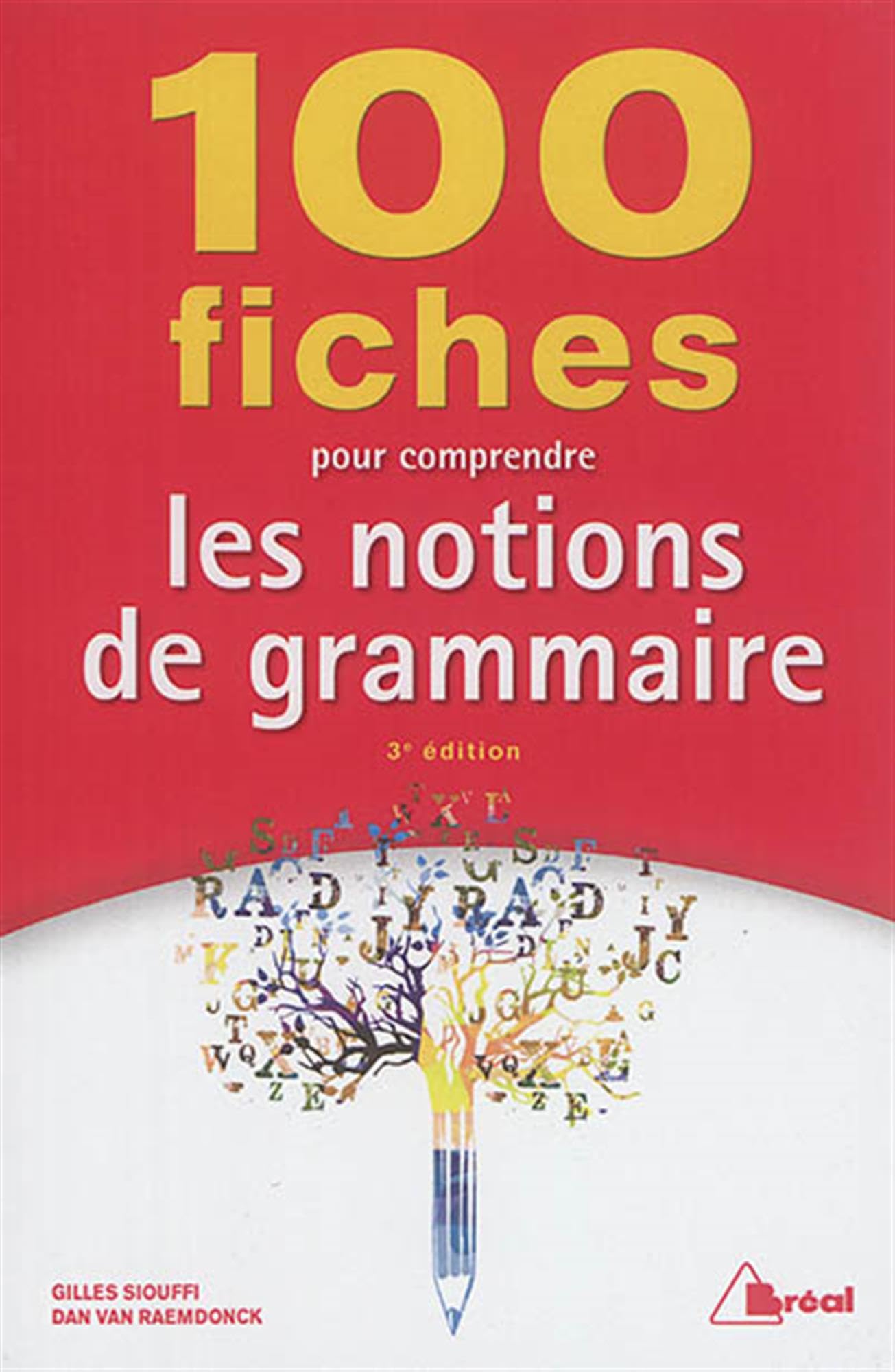 100 fiches pour comprendre les notions de grammaire book