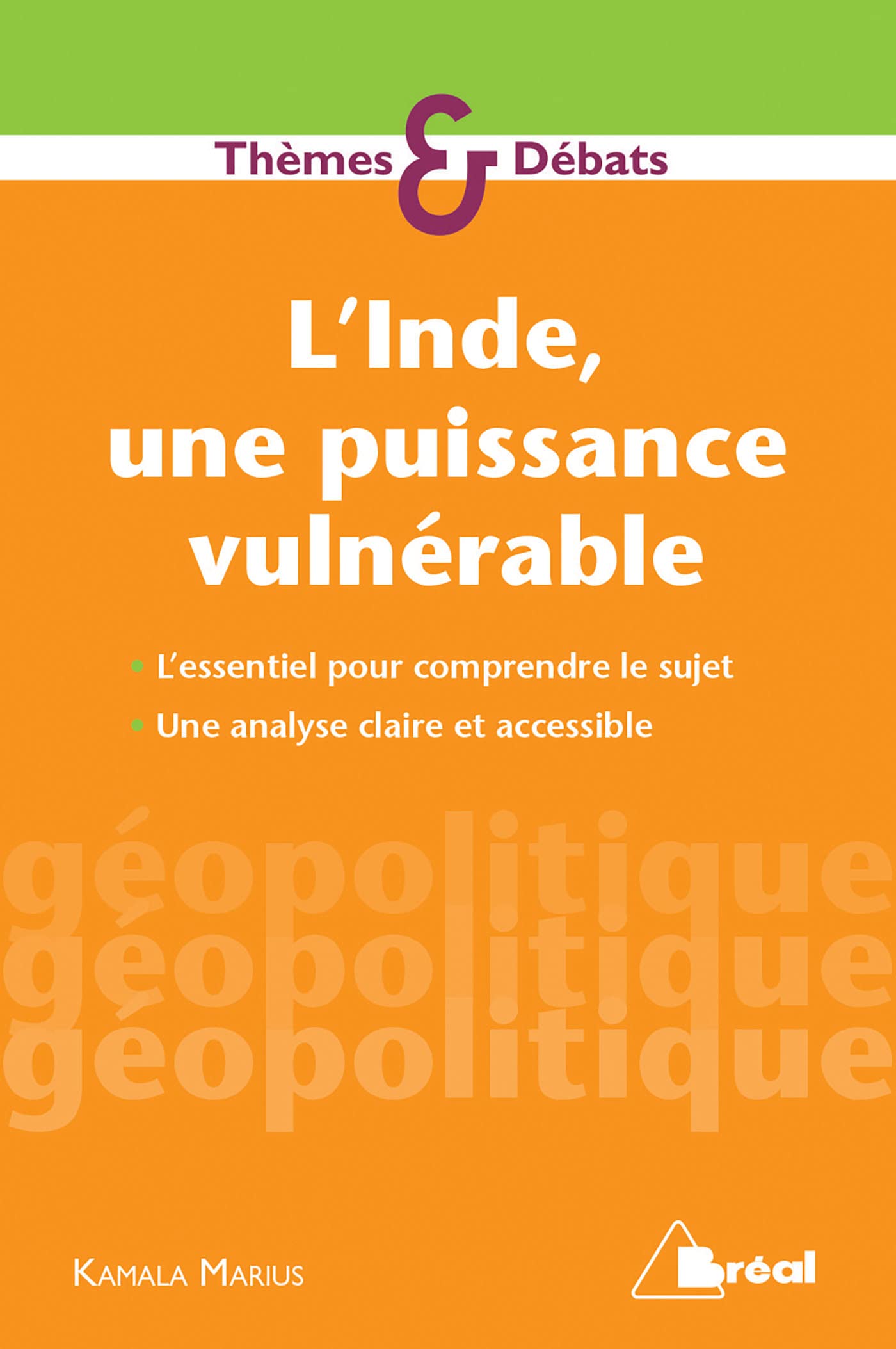 L'Inde, une puissance vulnérable: L'essentiel pour comprendre le sujet book