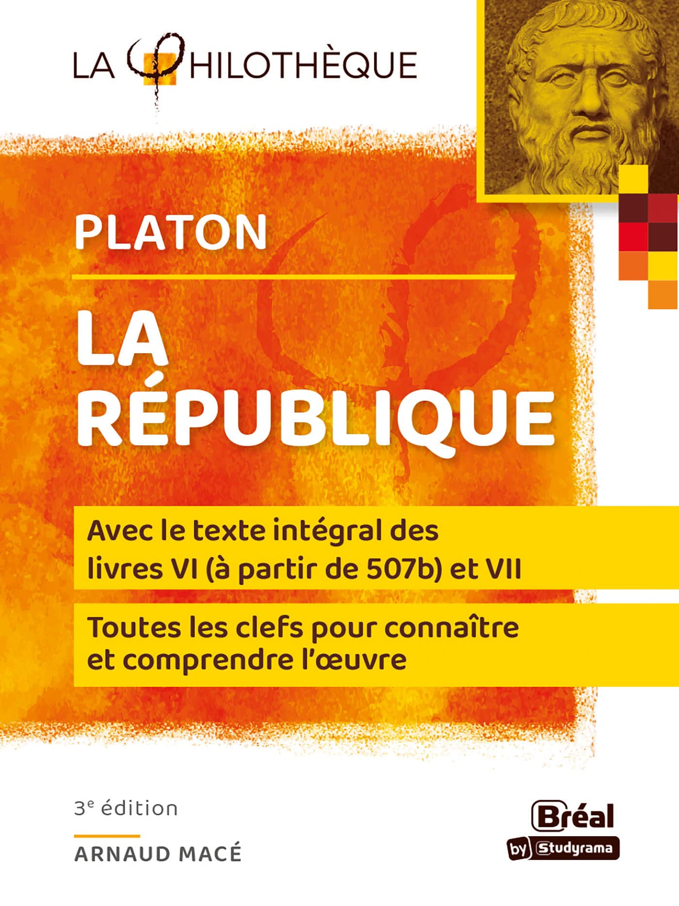 La République de Platon: Les livres VI (à partir de 507b) et VII book