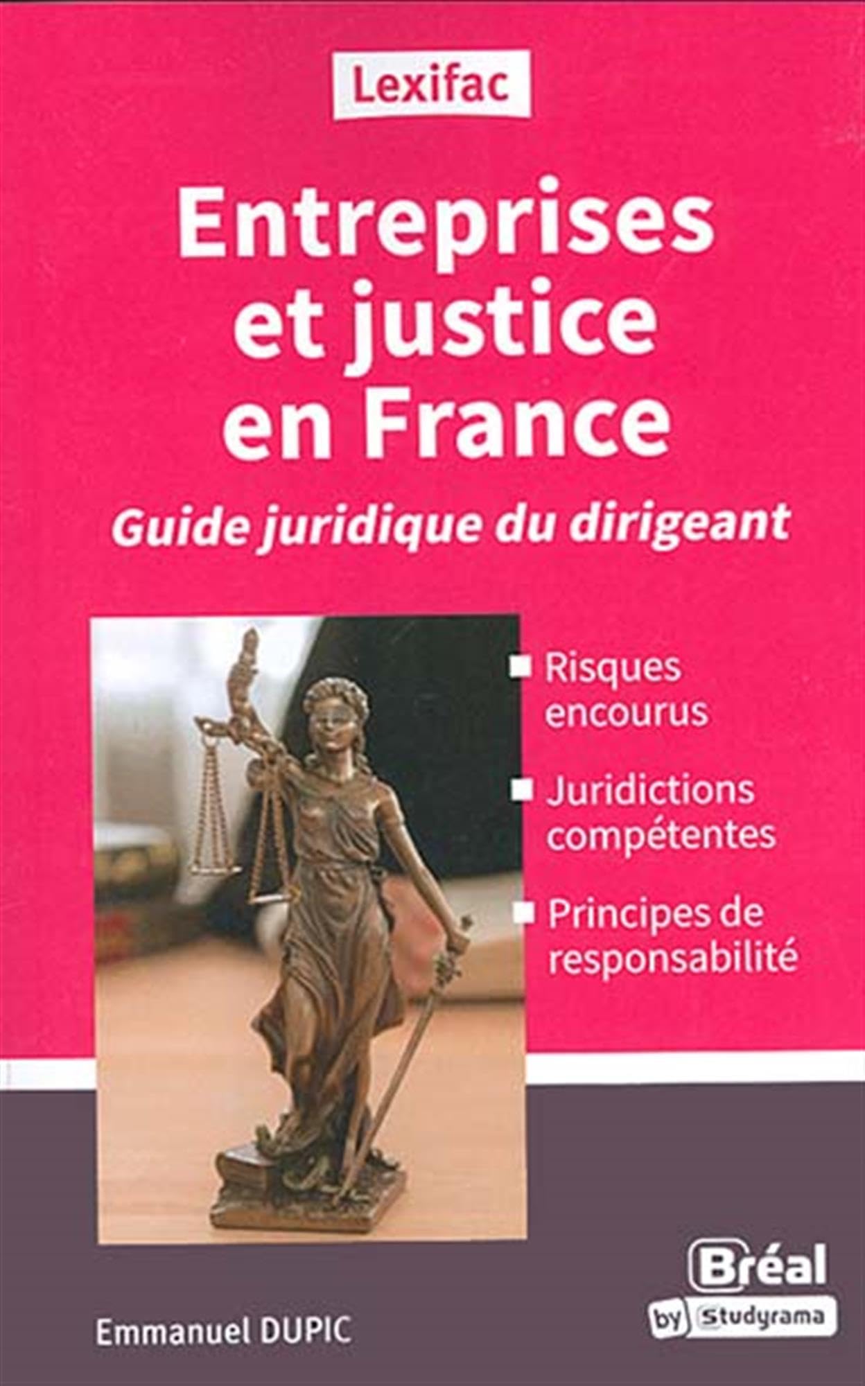 Entreprises et justice en France: Guide juridique du dirigeant book