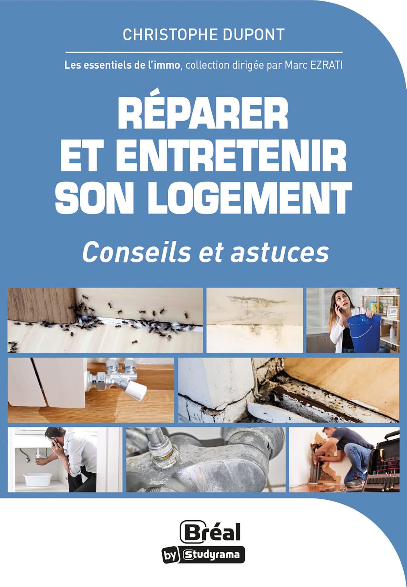 Réparer et entretenir son logement book