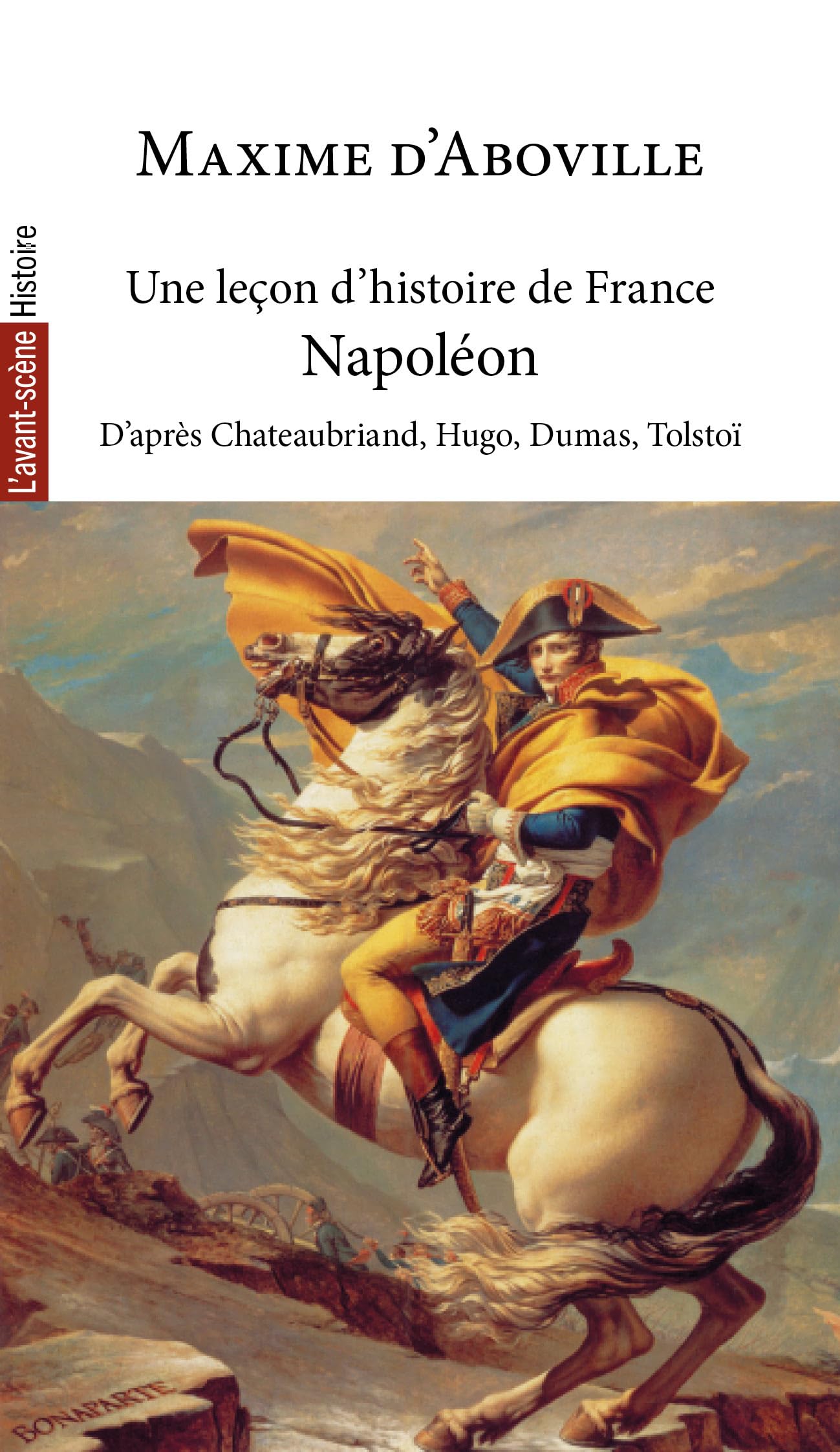 Une leçon d’histoire de France: Napoléon book