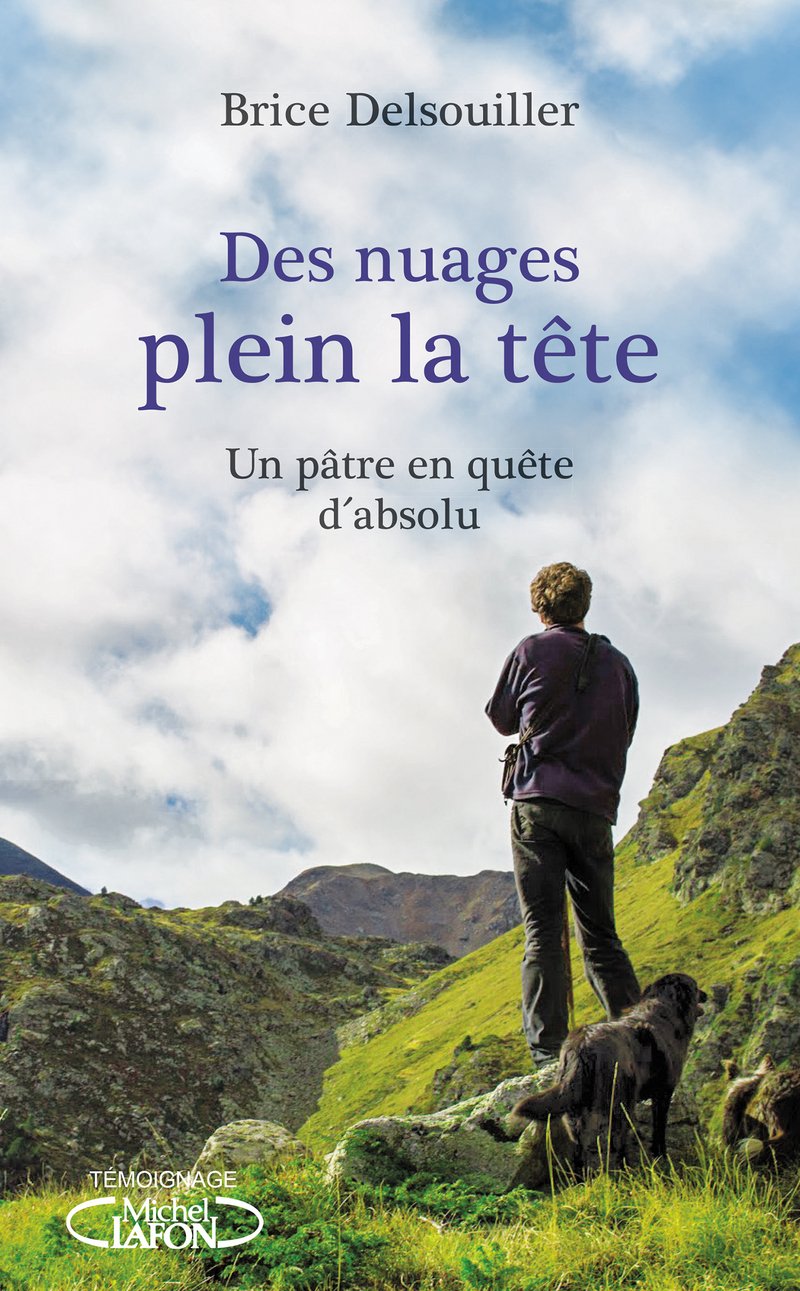 Des nuages plein la tête book