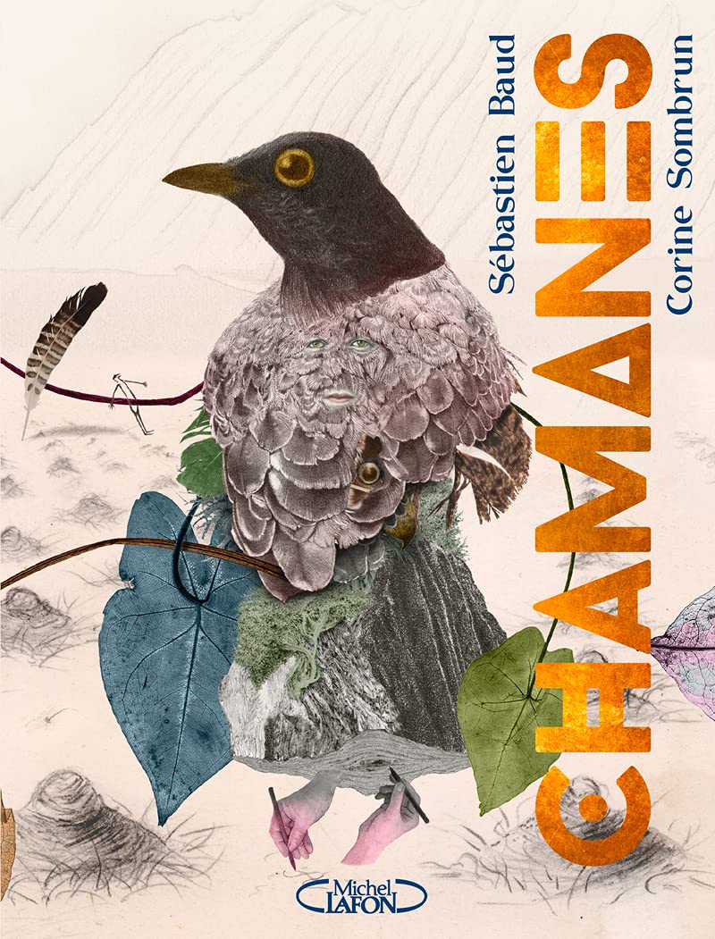Chamanes - voyage au coeur de la nature book