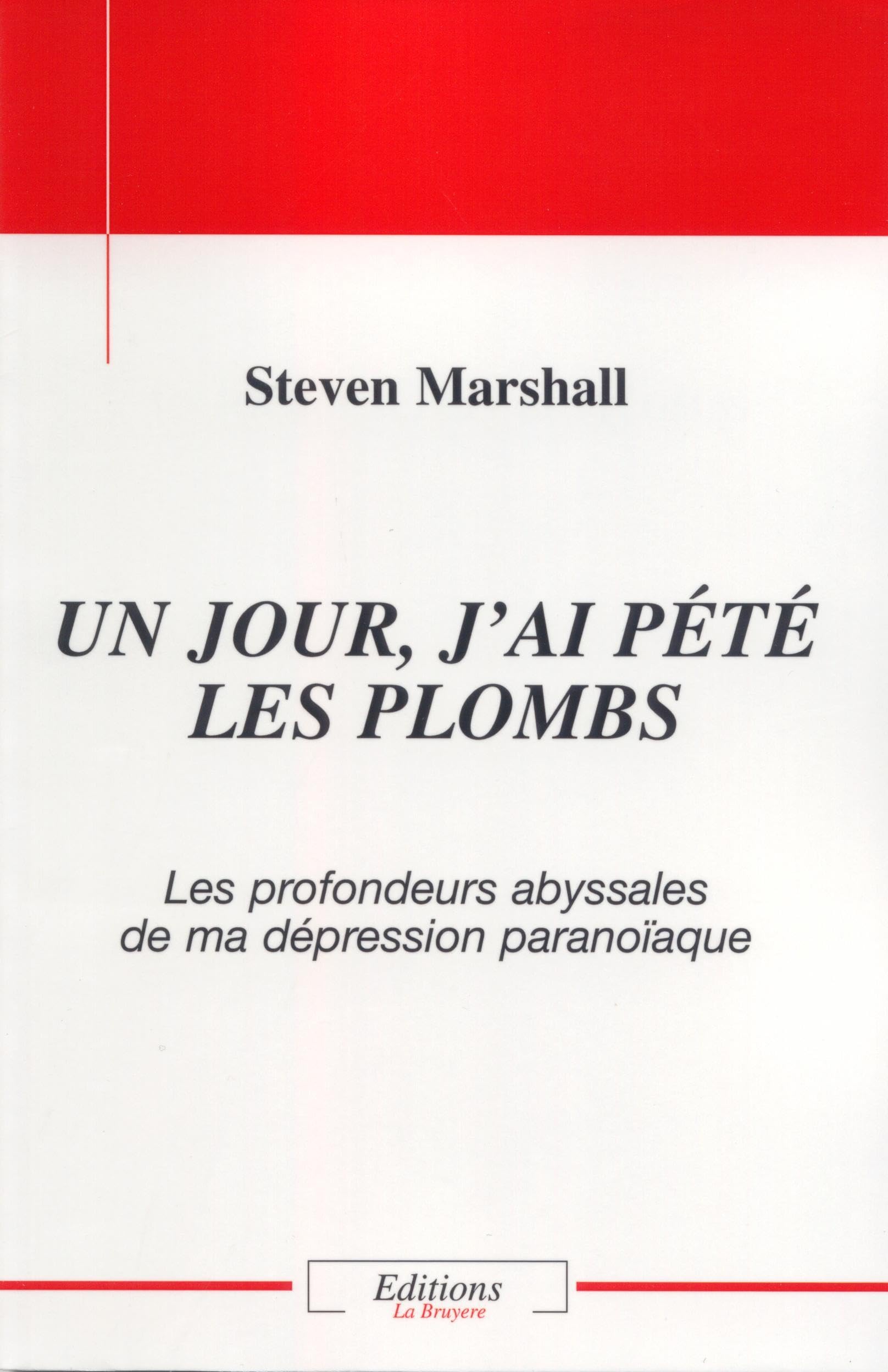 Un jour j'ai pété les plombs: Les profondeurs abyssales de ma dépression paranoïaque book