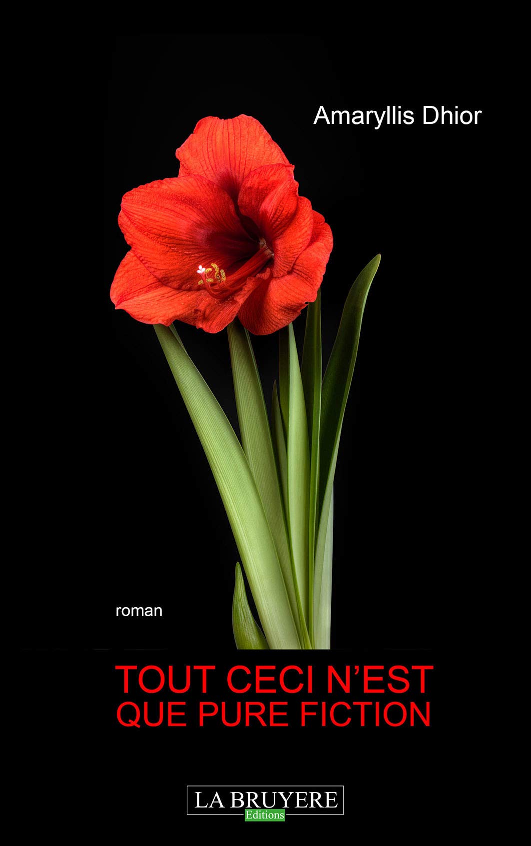 TOUT CECI N'EST QUE PURE FICTION Contemporary literature
