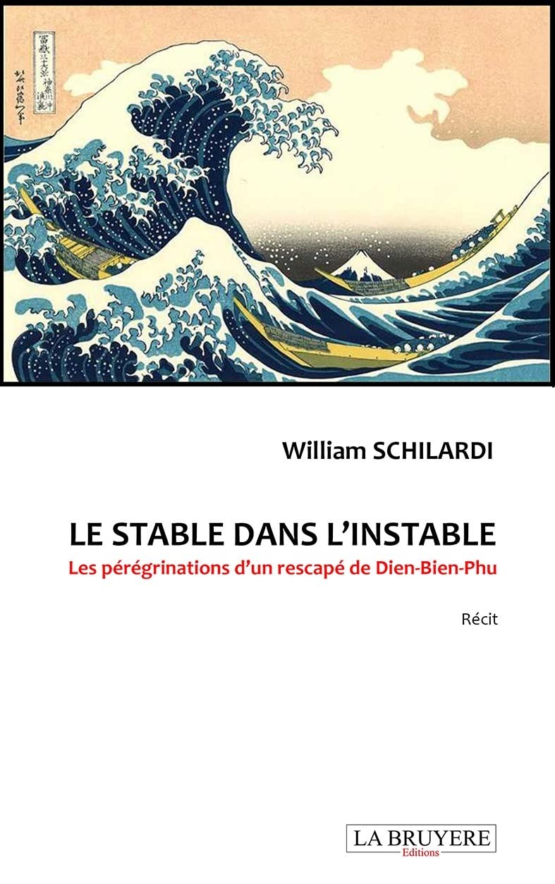 Le stable dans l'instable: Les pérégrinations d'un rescapé de Dien-Bien-Phu book