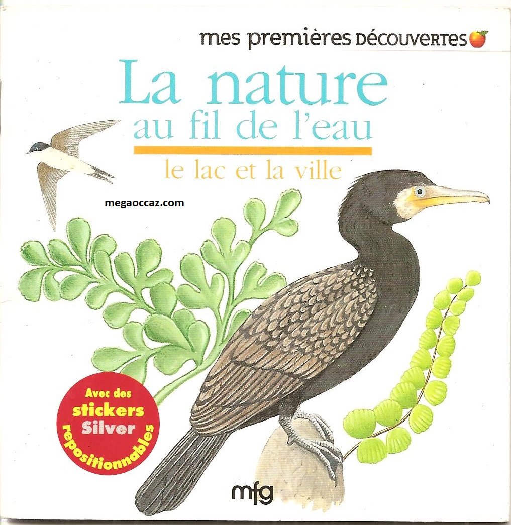 MES PREMIERES DECOUVERTES ; LA NATURE AU FIL DES SAISONS ; ETE Books
