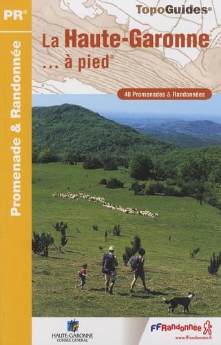 Haute-Garonne a Pied 40 Promenades et Randonnees: FFR.D031 Leisure, Home & Garden