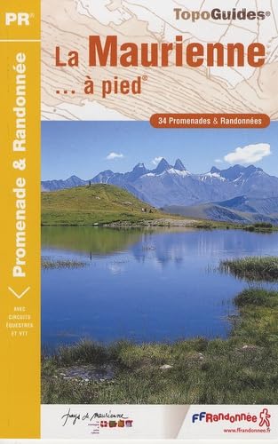 MAURIENNE A PIED NED 2008- 73 - PR - P731 book