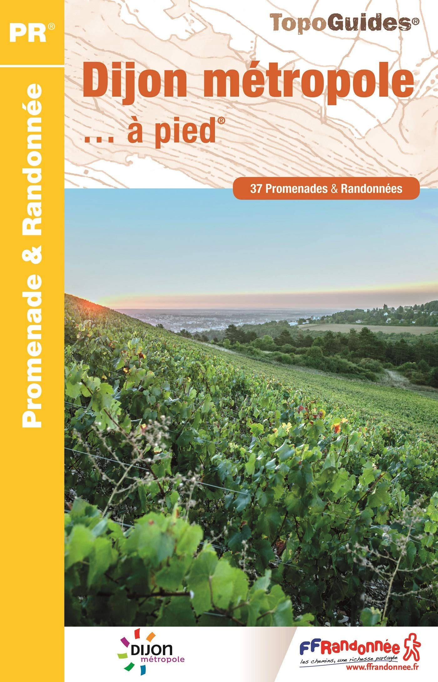 Dijon métropole... à pied - P211 book