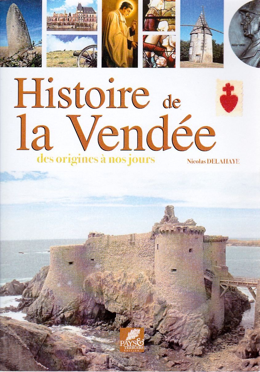 Histoire de la Vendée des origines à nos jours Books