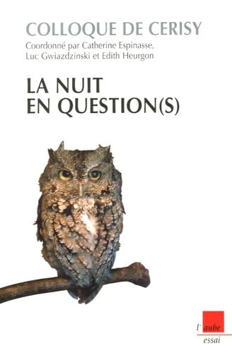 La nuit en question(s): Colloque de Cerisy, prospective d'un siècle à l'autre (VI) book