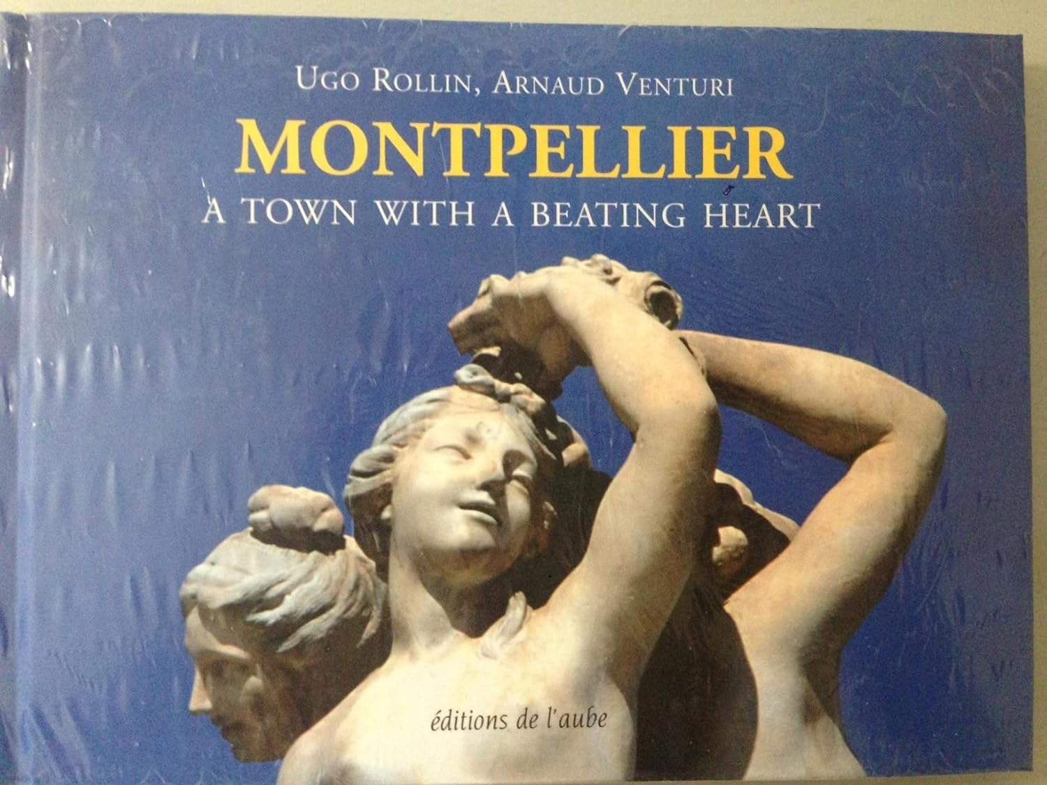 Montpellier. A Town with a beating Heart. Books