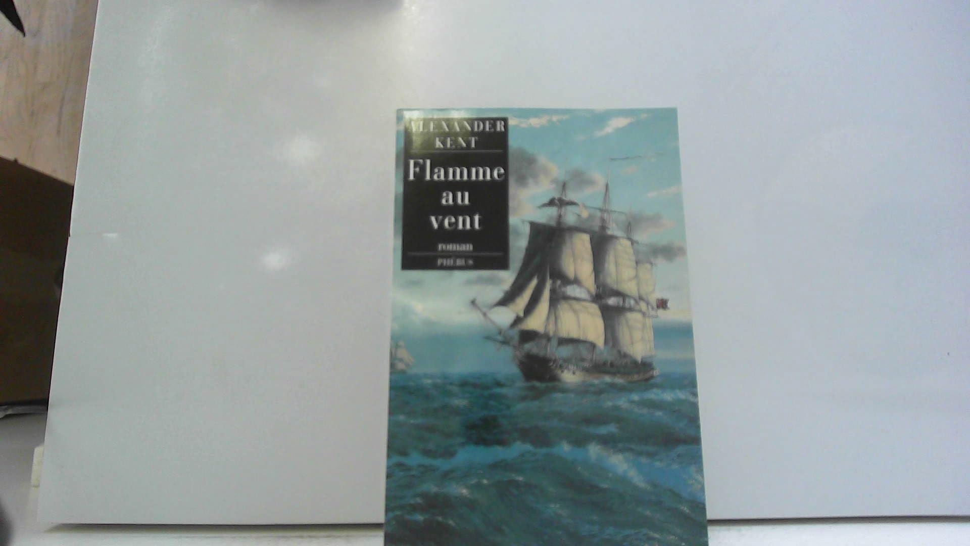 FLAMME AU VENT (0000) Contemporary literature