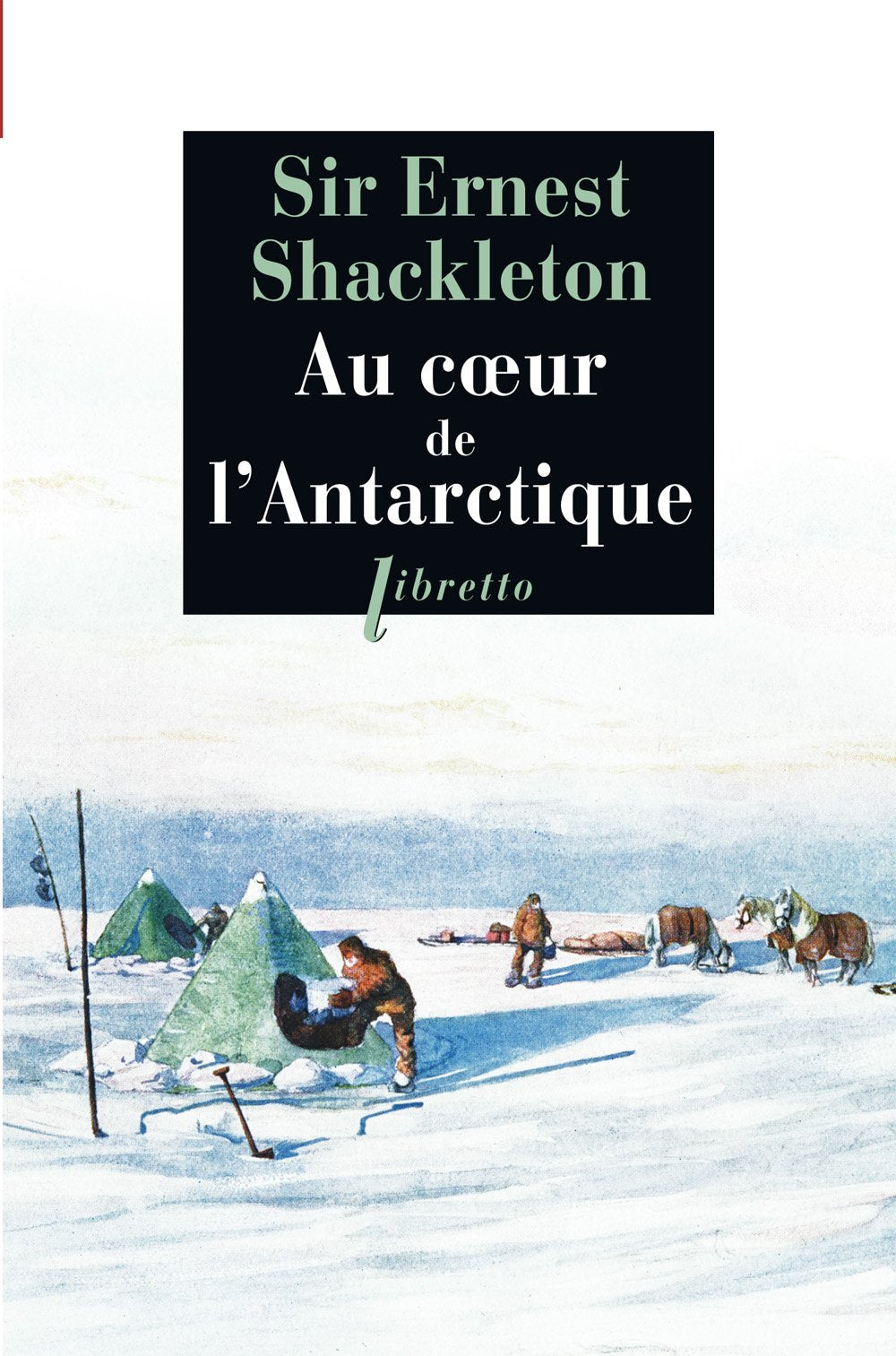 Au coeur de l'Antarctique (0000) book