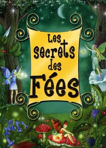 Les secrets des fées: Un livre et 3 figurines book