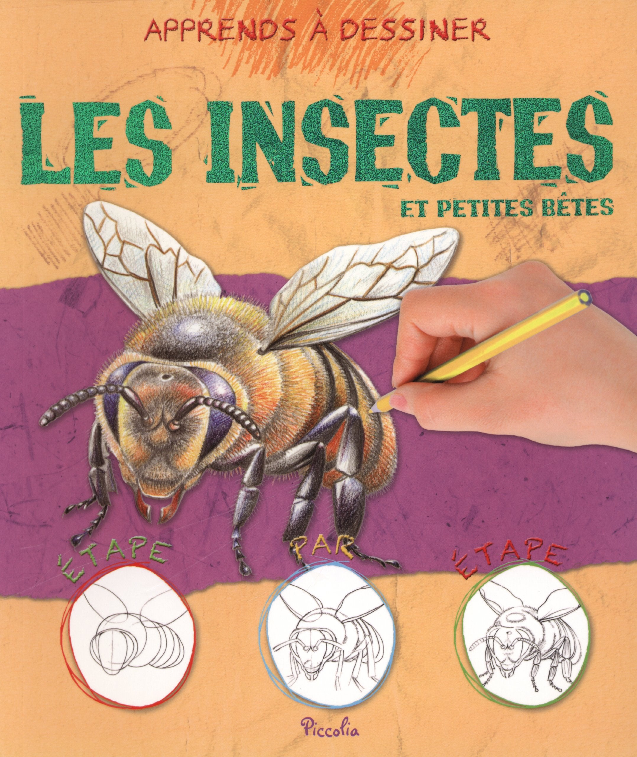 Les insectes et petites bêtes book