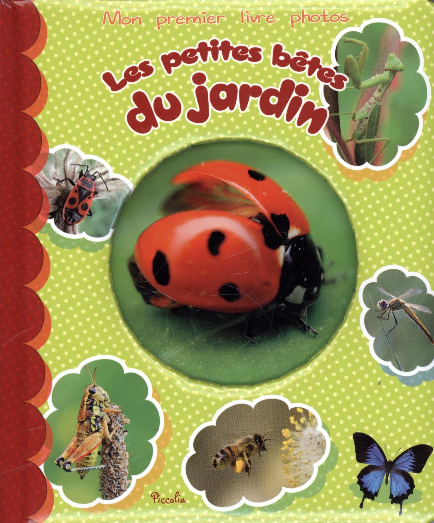Les petites bêtes du jardin Books