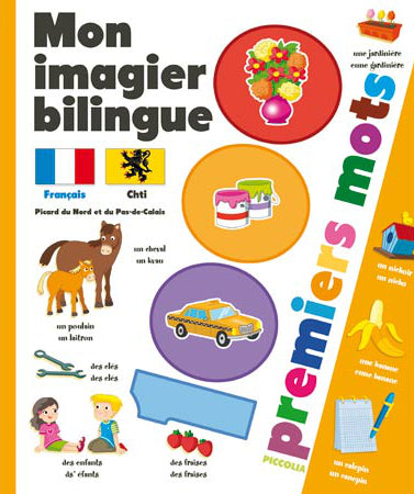 Mon imagier bilingue français-chti : 1.000 premiers mots Books