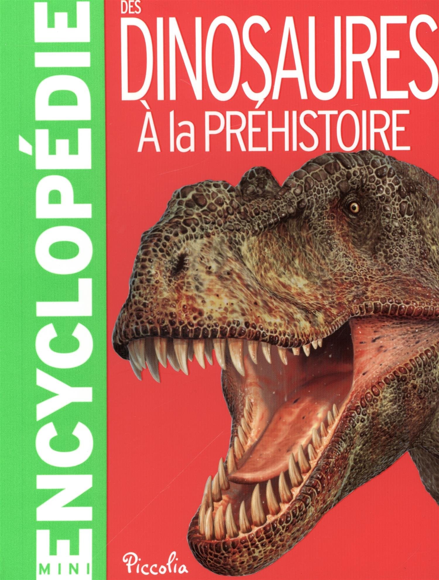 Des dinosaures à la préhistoire book