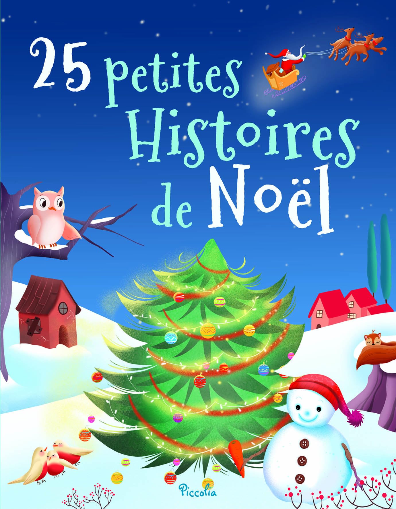 25 petites Histoires de Noel book