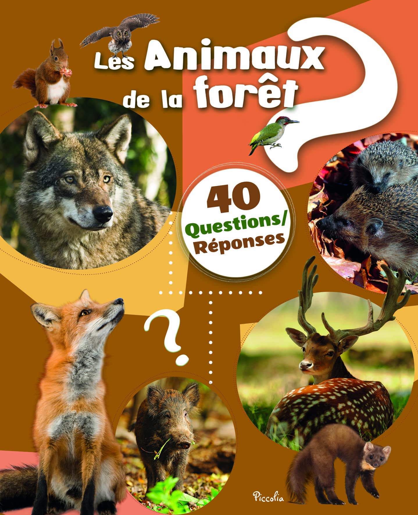 Les animaux de la forêt: 40 questions/réponses book