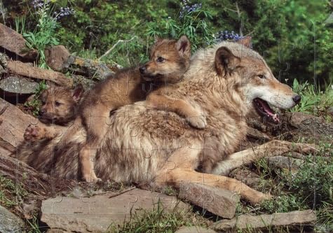 Loup - Puzzle photo book