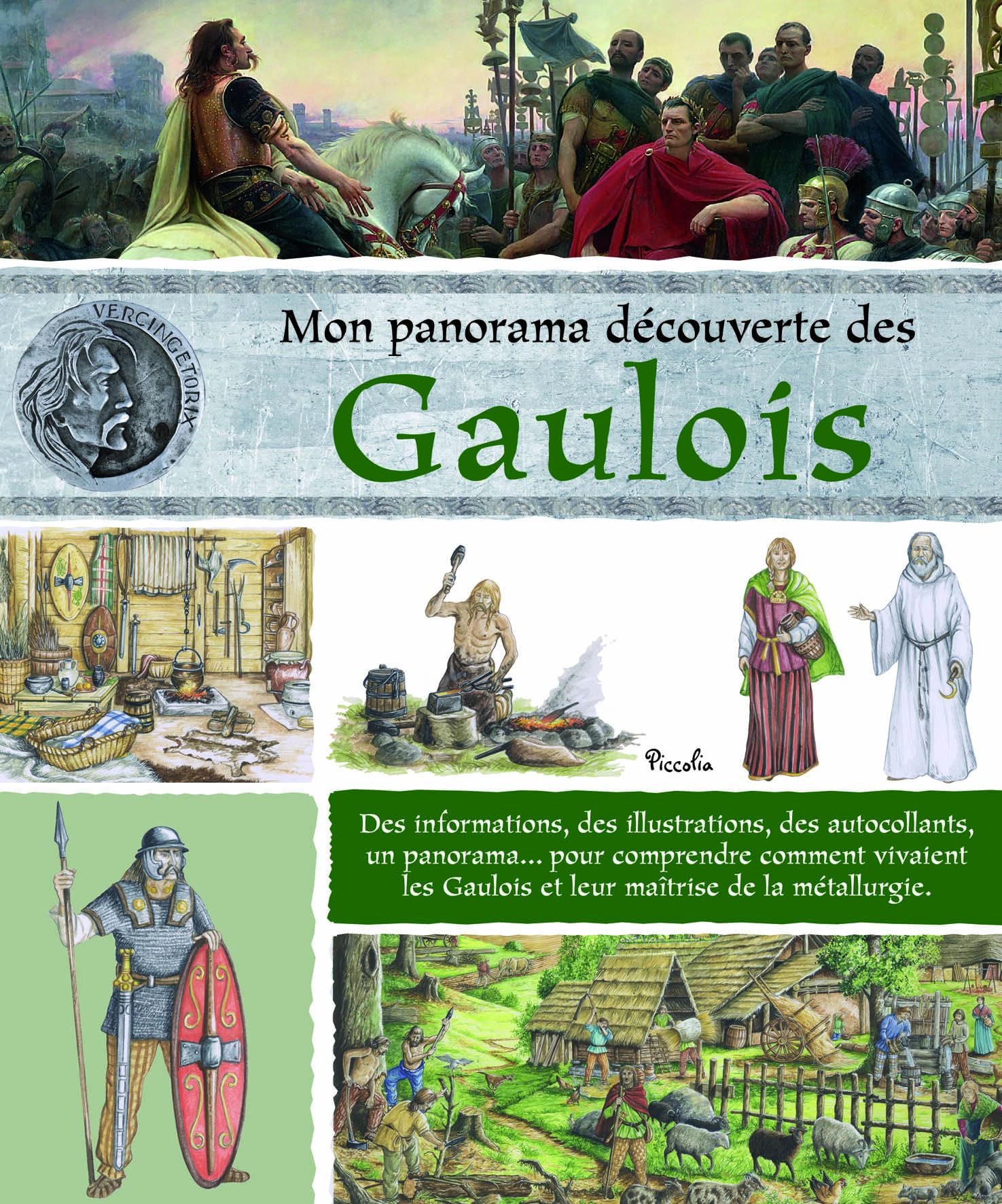 Mon panorama découverte des gaulois book