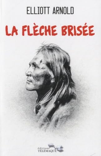 La flèche brisée: Le roman de Cochise book