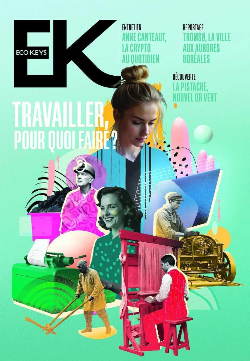 Eco Keys - N° 8 Travailler, pour quoi faire ? (8) book