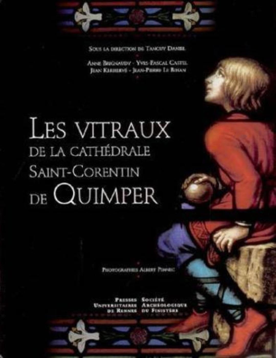 VITRAUX DE LA CATHEDRALE SAINT-CORENTIN DE QUIMPER book