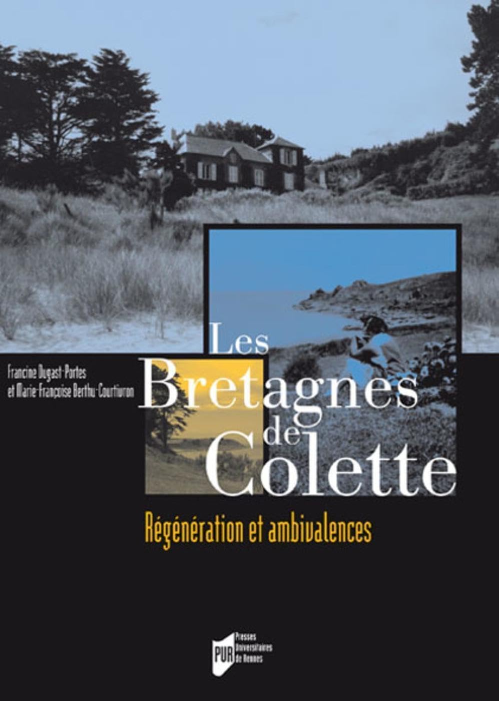 BRETAGNES DE COLETTEREGENERATION ET AMBIVALENCES: Régénération et ambivalences Books