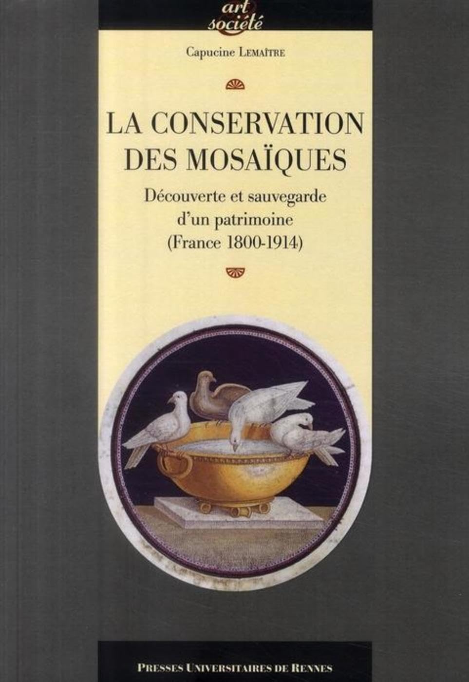 CONSERVATION DES MOSAIQUES: Découverte et sauvegarde d'un patrimoine (France 1800-1914) Film, Art & Culture