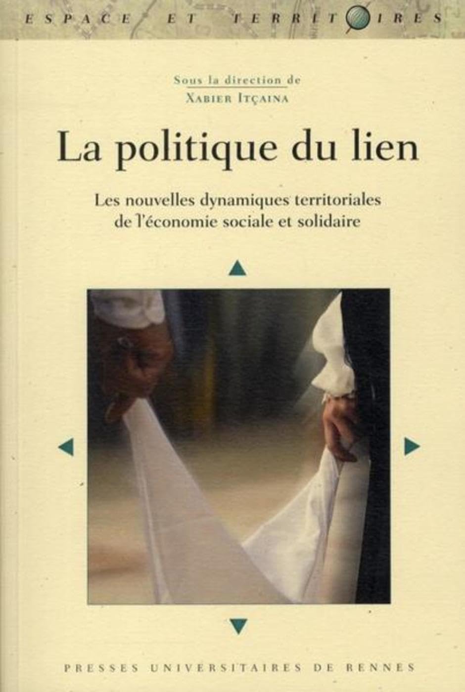 POLITIQUE DU LIEN: Les nouvelles dynamiques territoriales de l'économie sociale et solidaire Books